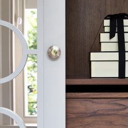 New-Slider-Image-Pop-250x250 New-Slider-Image-Pop-250x250